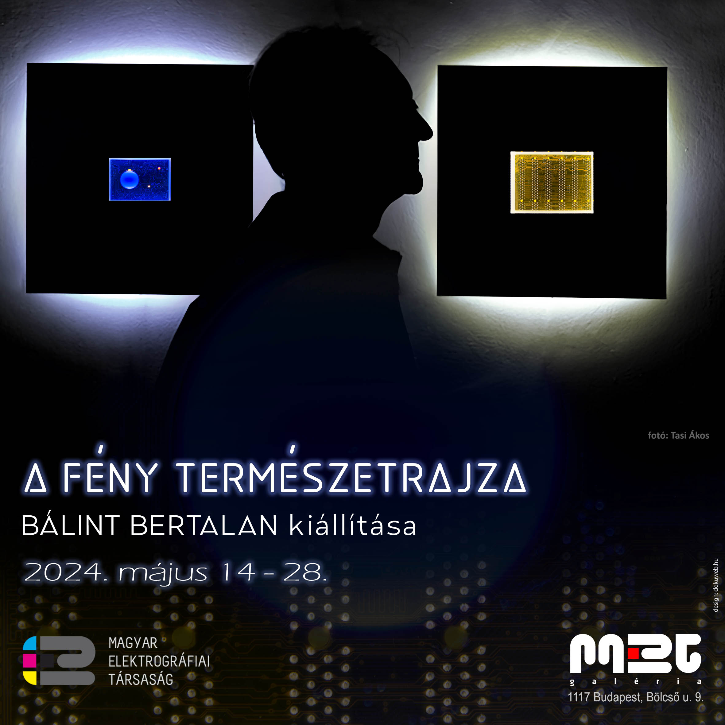 Bálint Bertalan A fény természetrajza 01